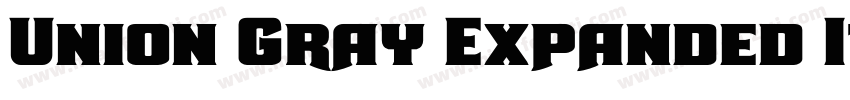 Union Gray Expanded Italic字体转换